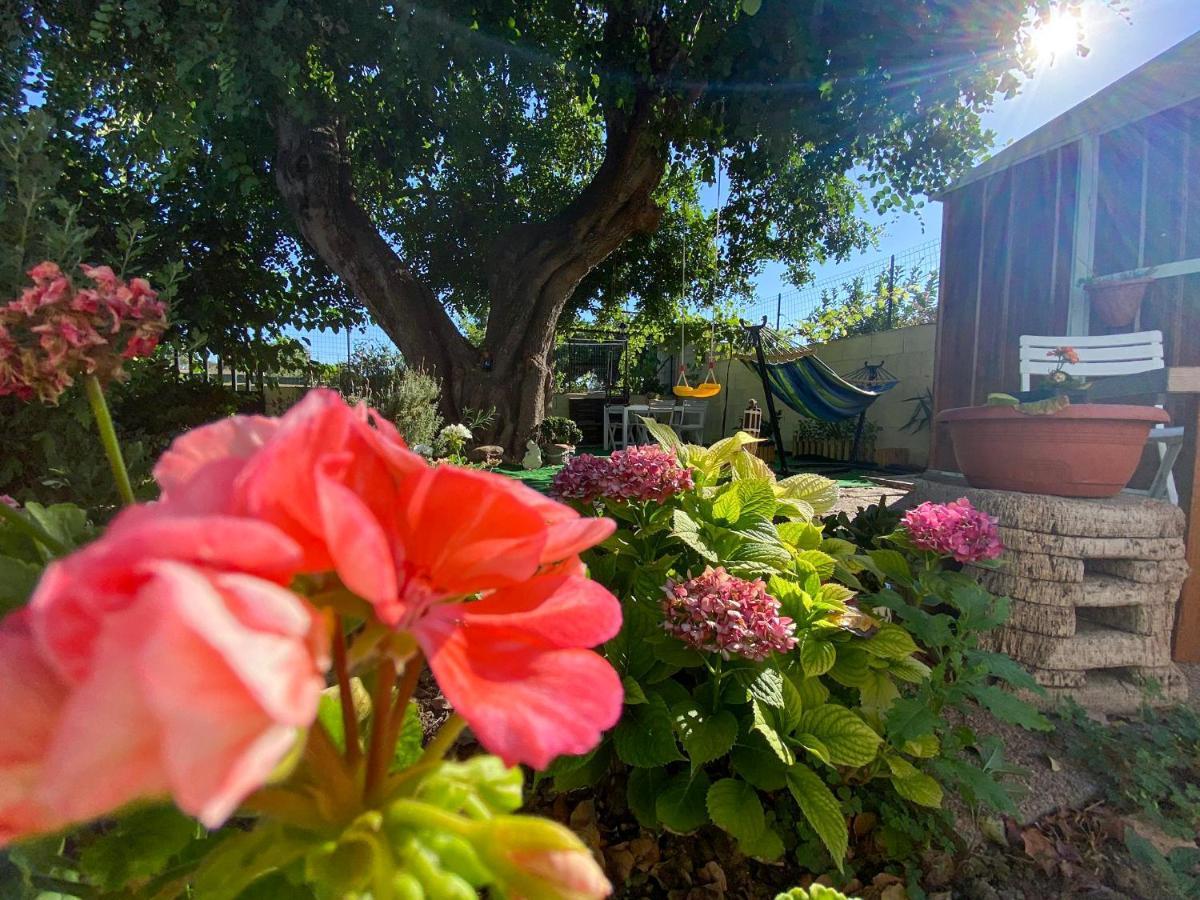 La Casa Del Carrubo Villa Cagliari Luaran gambar